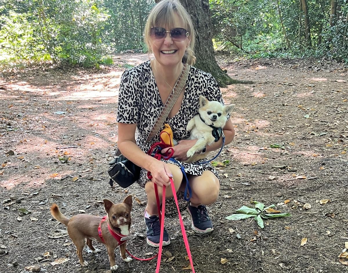 Carrying an elderly chihuahua with arthritis